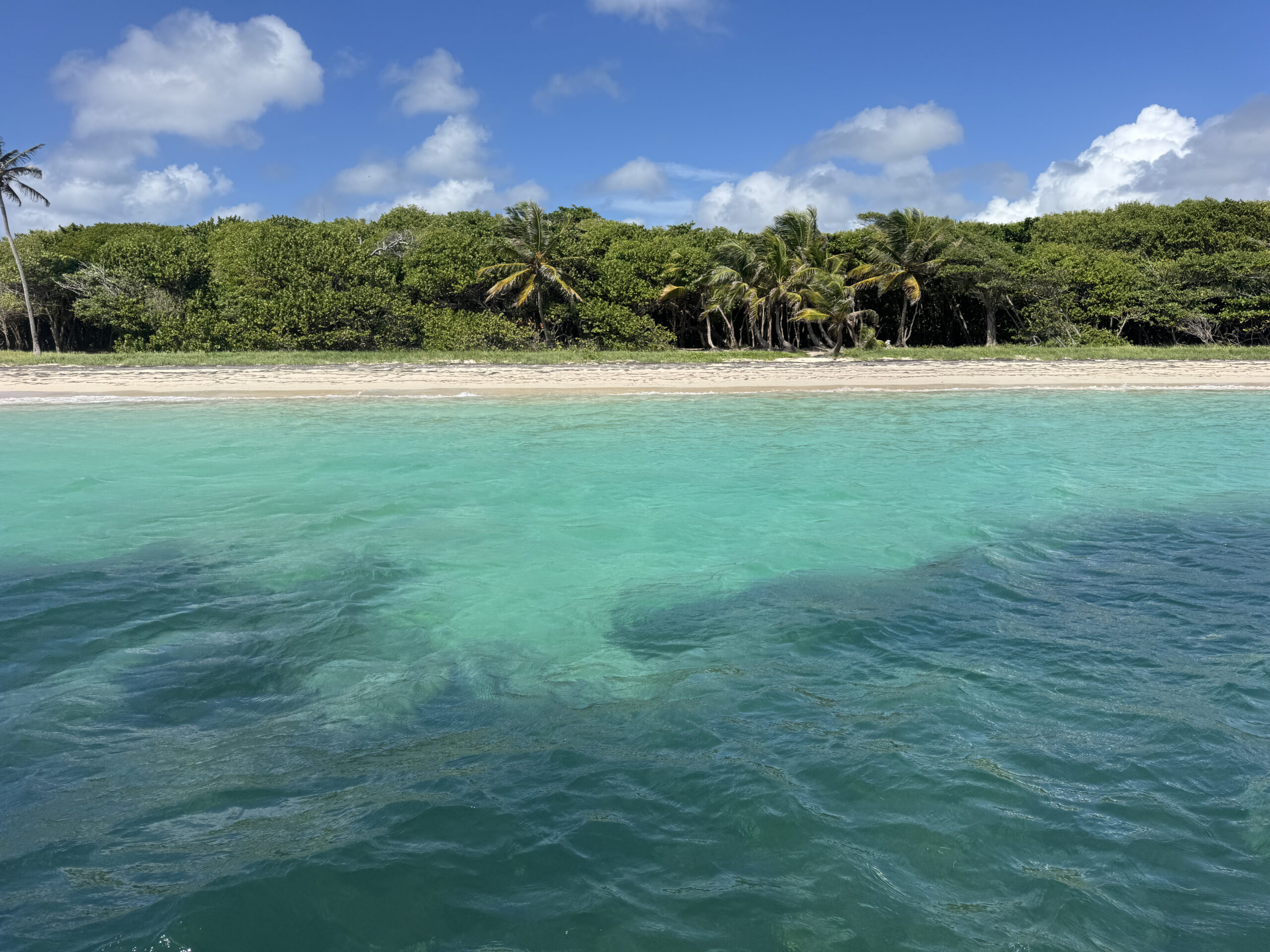 Balade en bateau personnalisée en Martinique