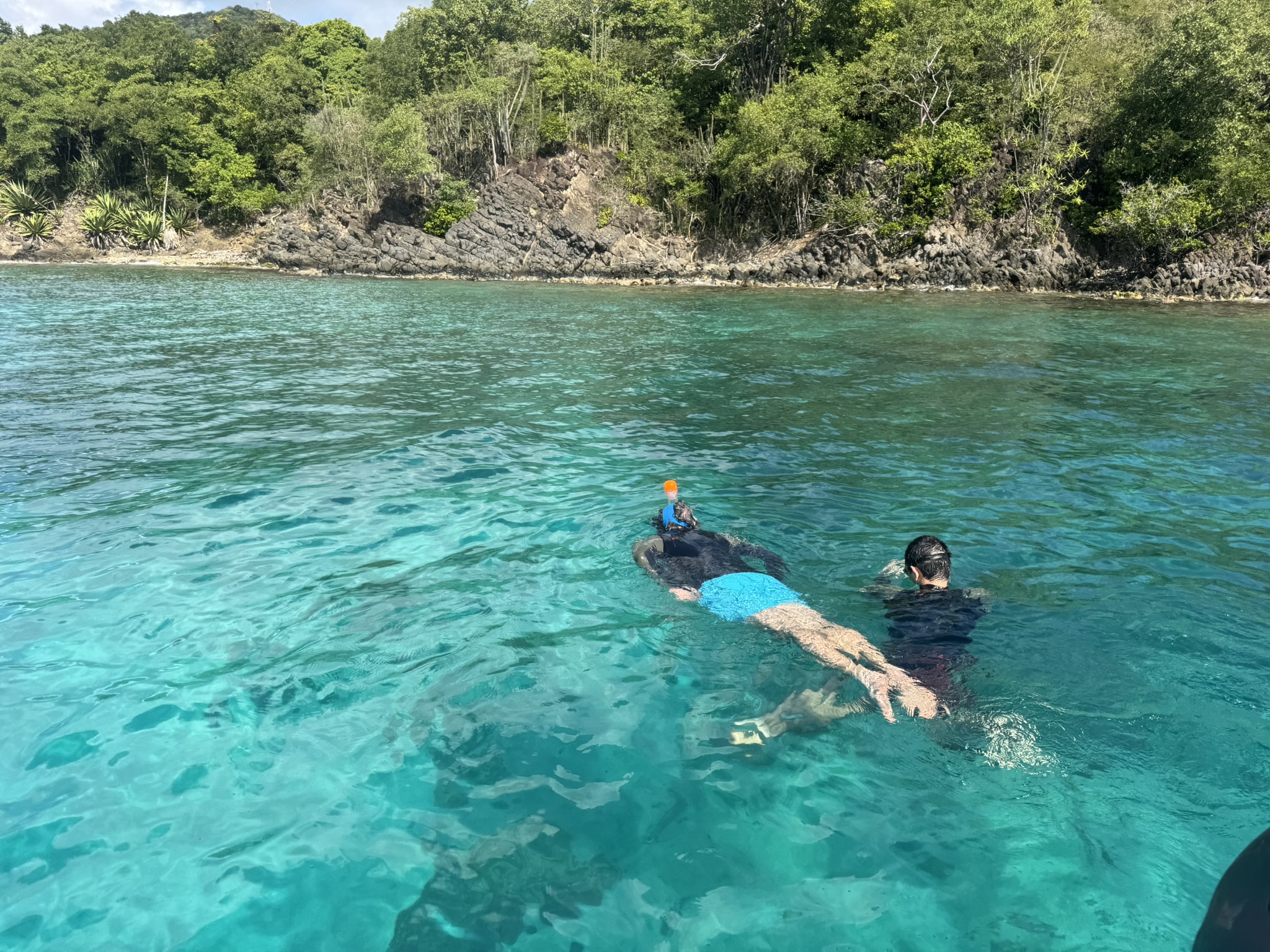 Snorkeling et découverte en Martinique avec Ti Tour Bato