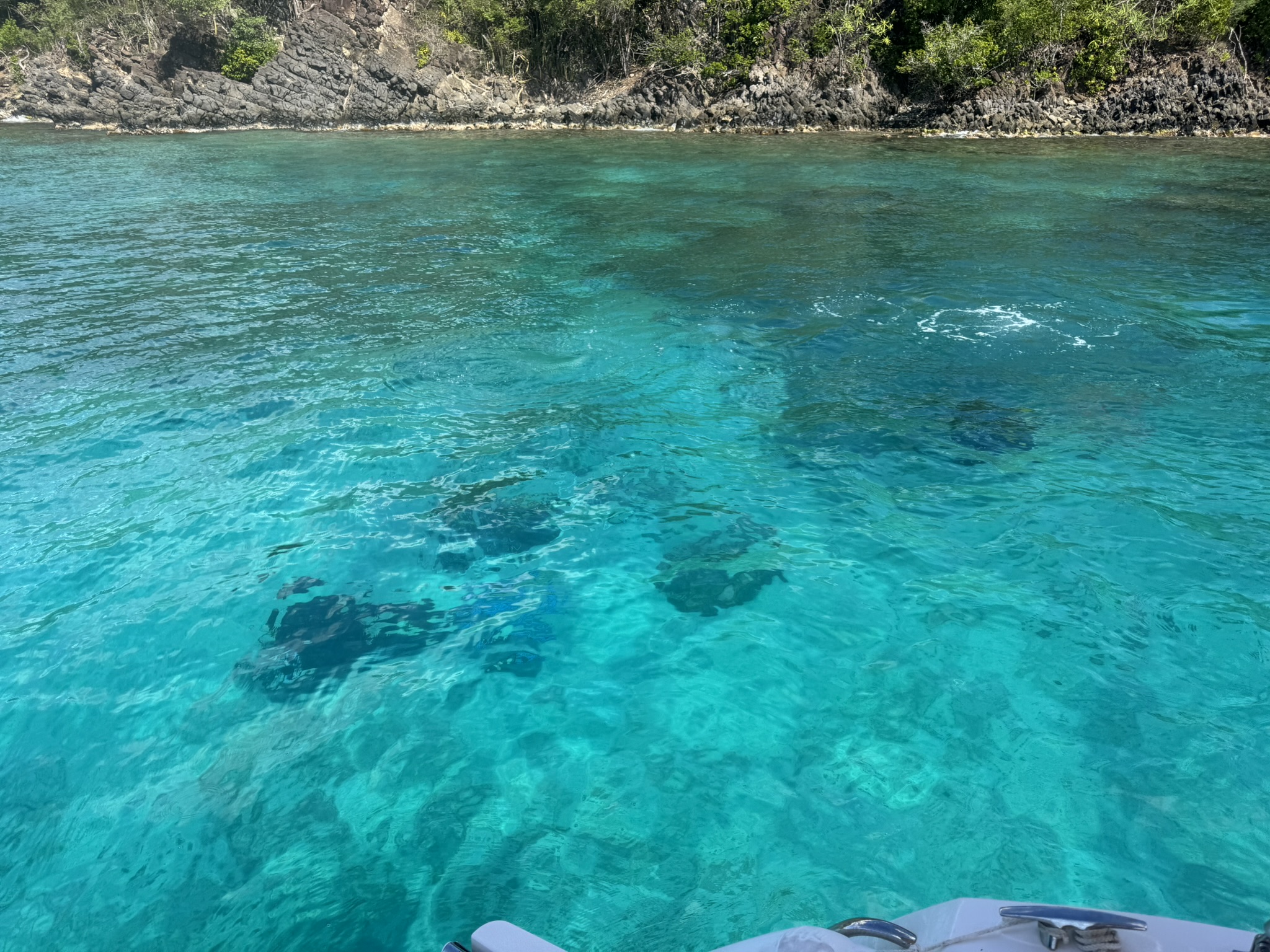 Sortie snorkeling en bateau dans le sud de la Martinique