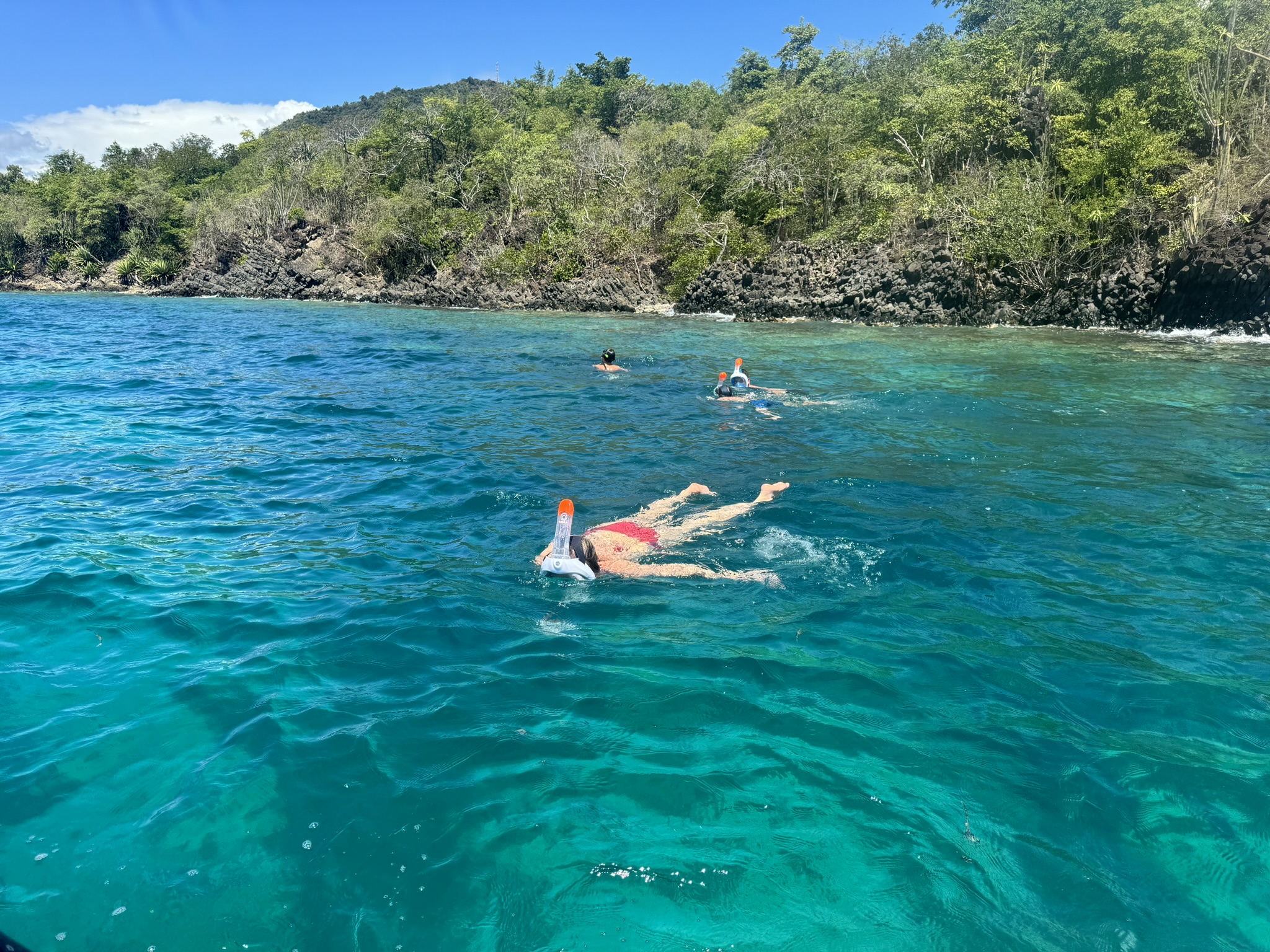 Balade snorkeling et découverte en Martinique
